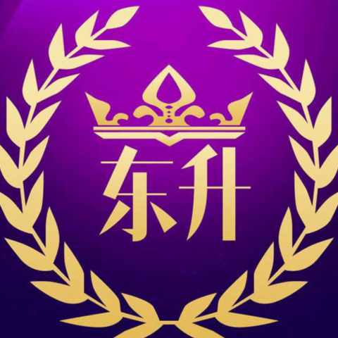 东升国际